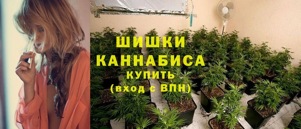 мяу мяу мука Новодвинск